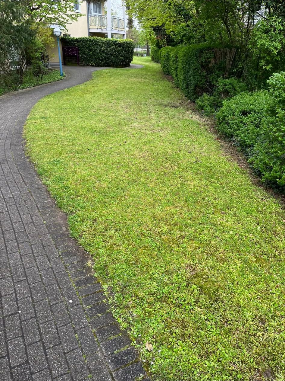 Gartenpflege